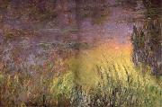 Claude Monet Water Lilies at Sunset France oil painting artist